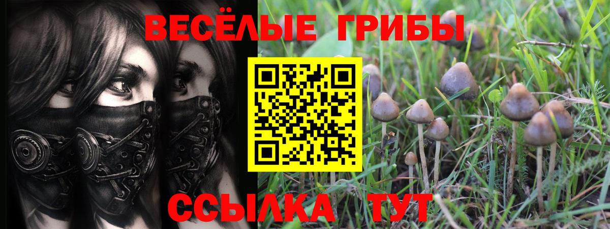 Галлюциногенные грибы GOLDEN TEACHER Мариинск